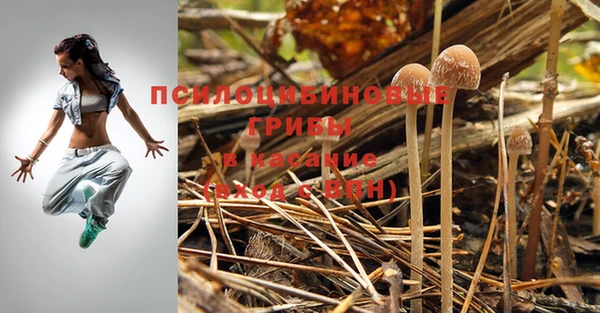 тгк Горняк