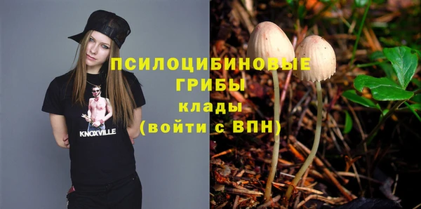 прущие крисы Горно-Алтайск