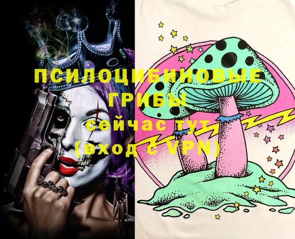 тгк Горняк