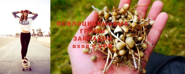 соль курить ск Горнозаводск