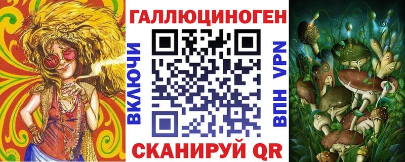 Купить закладки  Курлово  Галлюциногенные грибы MAGIC MUSHROOMS 