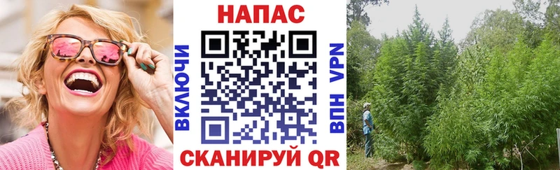 Канабис LSD WEED  Купить где  Курлово 